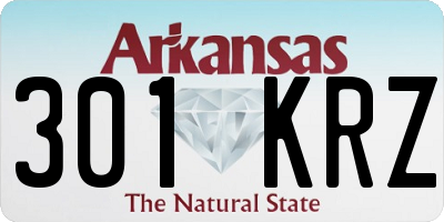 AR license plate 301KRZ