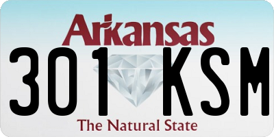 AR license plate 301KSM