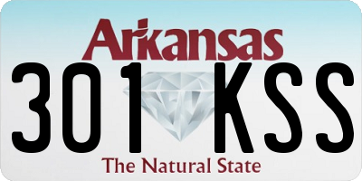 AR license plate 301KSS