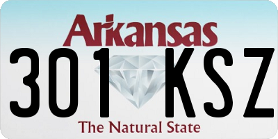 AR license plate 301KSZ