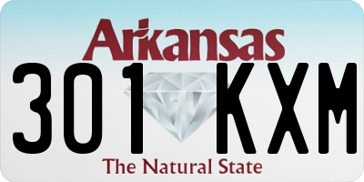 AR license plate 301KXM