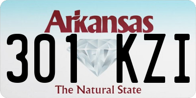 AR license plate 301KZI