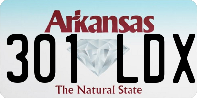 AR license plate 301LDX