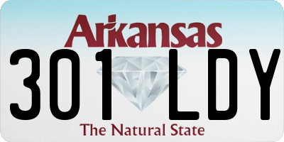 AR license plate 301LDY