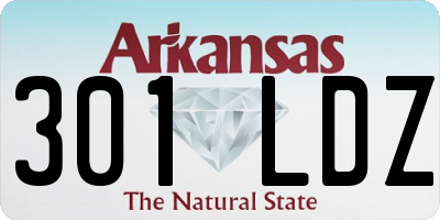 AR license plate 301LDZ
