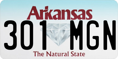 AR license plate 301MGN
