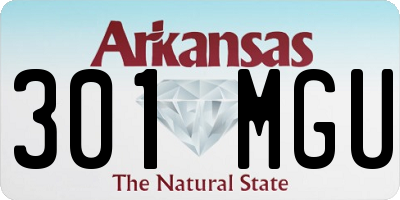 AR license plate 301MGU