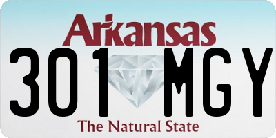 AR license plate 301MGY