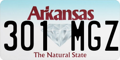 AR license plate 301MGZ