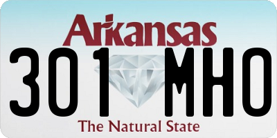 AR license plate 301MHO