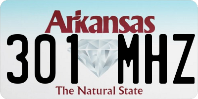 AR license plate 301MHZ