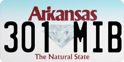 AR license plate 301MIB