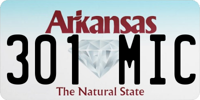 AR license plate 301MIC