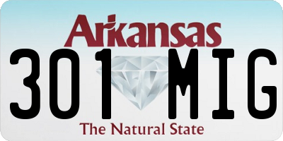 AR license plate 301MIG