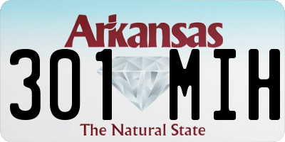AR license plate 301MIH