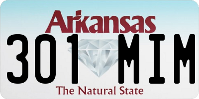 AR license plate 301MIM