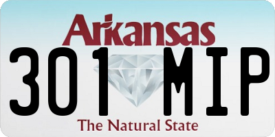 AR license plate 301MIP