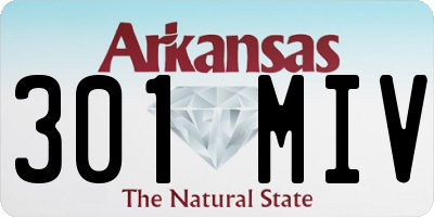 AR license plate 301MIV
