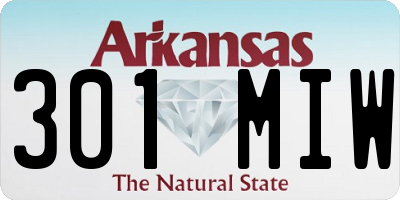 AR license plate 301MIW