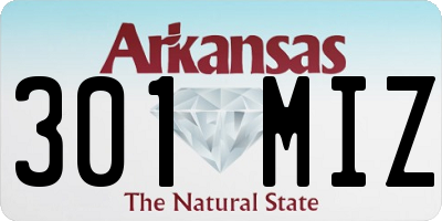 AR license plate 301MIZ