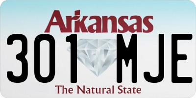AR license plate 301MJE