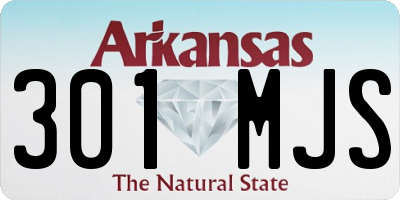 AR license plate 301MJS