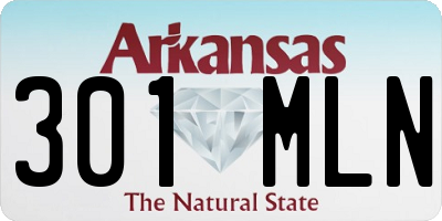 AR license plate 301MLN