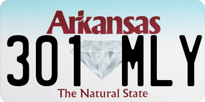 AR license plate 301MLY