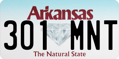 AR license plate 301MNT