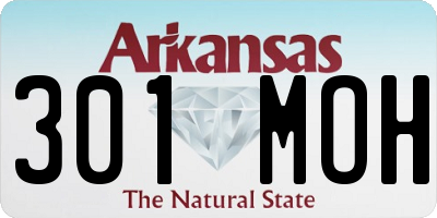 AR license plate 301MOH