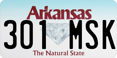AR license plate 301MSK