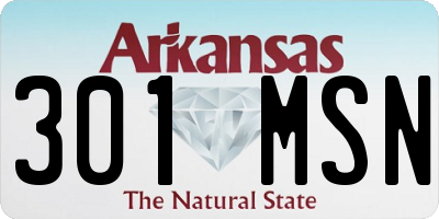 AR license plate 301MSN