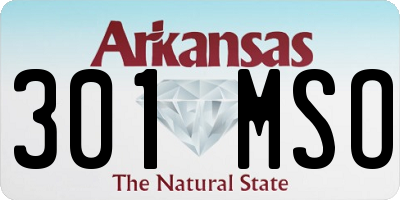 AR license plate 301MSO