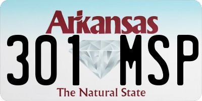AR license plate 301MSP