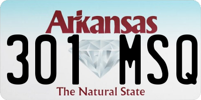 AR license plate 301MSQ