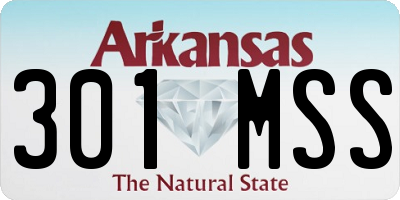 AR license plate 301MSS