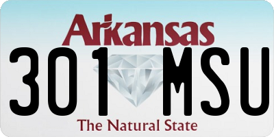AR license plate 301MSU