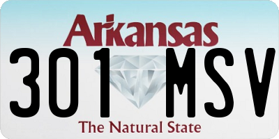 AR license plate 301MSV