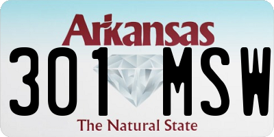 AR license plate 301MSW