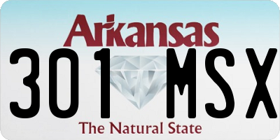 AR license plate 301MSX