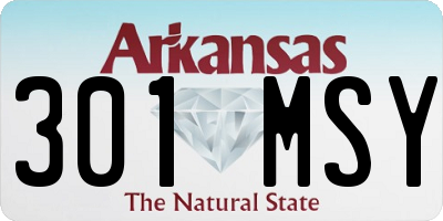AR license plate 301MSY
