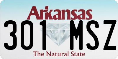 AR license plate 301MSZ