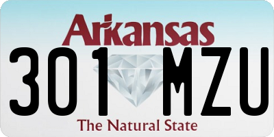 AR license plate 301MZU