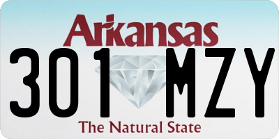 AR license plate 301MZY
