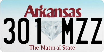 AR license plate 301MZZ