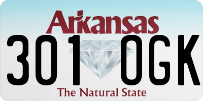 AR license plate 301OGK