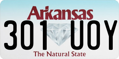 AR license plate 301UOY