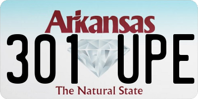 AR license plate 301UPE