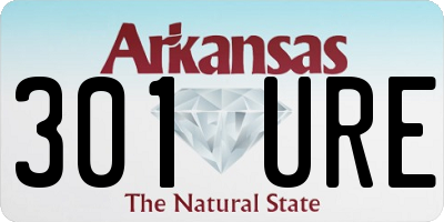 AR license plate 301URE
