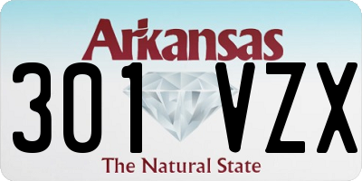 AR license plate 301VZX